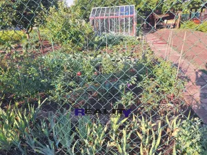 Prodej zahrady, Podbořany, Sídliště Míru, 241 m2