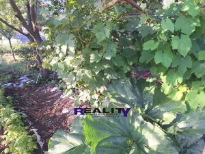 Prodej zahrady, Podbořany, Sídliště Míru, 241 m2