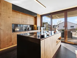 Prodej vícegeneračního domu, Tmaň, Prof. Krbce, 294 m2