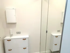 Pronájem bytu 2+1, Praha, Vrchlického, 51 m2