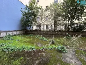 Pronájem bytu 2+1, Praha, Vrchlického, 51 m2