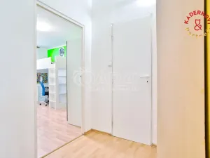 Pronájem bytu 2+1, Velké Opatovice, nám. Míru, 63 m2