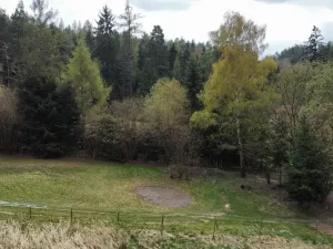 Prodej rodinného domu, Radošovice - Lipiny u Radošovic, 94 m2