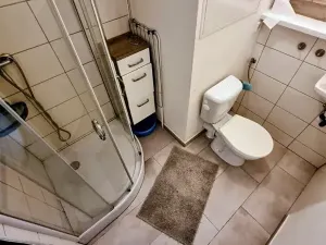 Pronájem bytu 1+1, Jihlava, Březinova, 33 m2