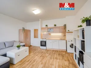 Pronájem bytu 1+kk, Plzeň - Severní Předměstí, Sokolovská, 27 m2