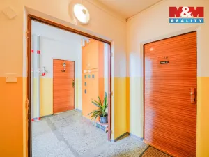 Pronájem bytu 1+kk, Plzeň - Severní Předměstí, Sokolovská, 27 m2