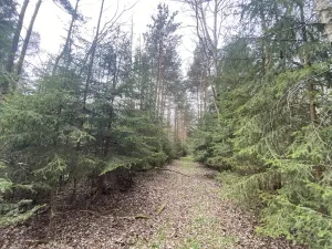 Prodej pozemku, Volfířov - Brandlín, 5958 m2