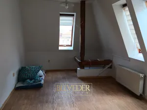 Pronájem bytu 1+1, Teplice, Masarykova třída, 45 m2