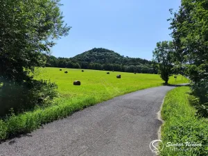 Prodej louky, Třebušín, 74552 m2
