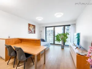 Prodej bytu 1+kk, Praha - Žižkov, Olšanská, 35 m2