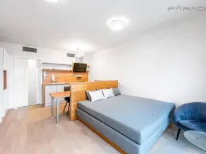 Prodej bytu 1+kk, Praha - Žižkov, Olšanská, 35 m2