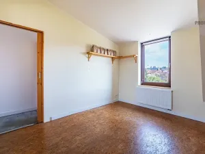 Prodej vícegeneračního domu, Brno, Otakara Ševčíka, 190 m2