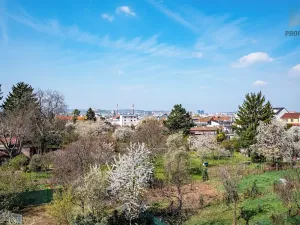 Prodej vícegeneračního domu, Brno, Otakara Ševčíka, 190 m2