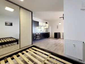 Prodej bytu 1+kk, Brno, Křenová, 32 m2
