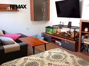 Prodej bytu 2+1, Jindřichův Hradec, Nádražní, 60 m2