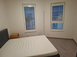 Pronájem bytu 3+kk, Praha - Žižkov, Olgy Havlové, 71 m2