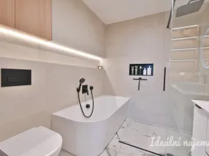 Pronájem bytu 3+kk, Brno, třída Generála Píky, 91 m2