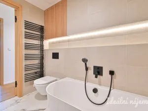 Pronájem bytu 3+kk, Brno, třída Generála Píky, 91 m2