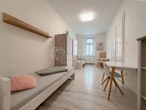 Pronájem pokoje, České Budějovice - České Budějovice 6, Jeronýmova, 25 m2