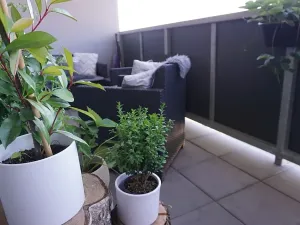 Pronájem bytu 2+kk, Plzeň, Halštatská, 70 m2