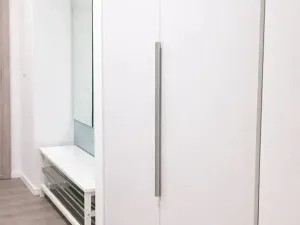 Pronájem bytu 2+kk, Praha - Žižkov, Pod lipami, 54 m2