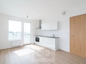 Pronájem bytu 1+kk, Praha - Dolní Měcholupy, Honzíkova, 34 m2