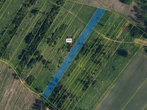 Dražba lesa, Vícenice, 6645 m2