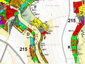 Dražba lesa, Žižkovo Pole, 12727 m2