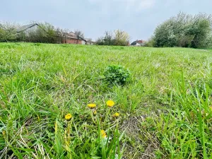 Prodej pozemku pro bydlení, Dlouhá Lhota, 3560 m2