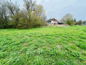 Prodej pozemku pro bydlení, Dlouhá Lhota, 3560 m2