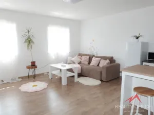 Pronájem bytu 1+1, Děčín - Děčín XXI-Horní Oldřichov, Alešova, 56 m2