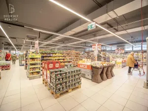 Prodej obchodního prostoru, Mladá Boleslav, Mileny Hážové, 4857 m2