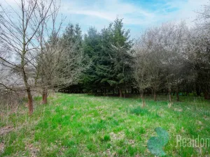 Prodej zemědělské usedlosti, Bečice, 502 m2