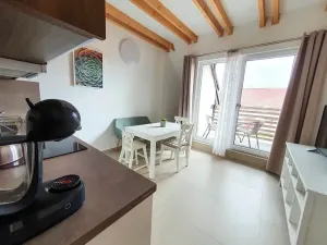 Prodej vícegeneračního domu, Pasohlávky, 320 m2