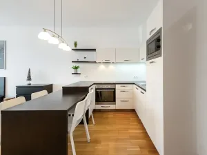 Pronájem bytu 1+kk, Praha - Vinohrady, Korunní, 47 m2