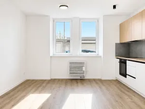 Pronájem bytu 2+kk, Opava, Březinova, 59 m2