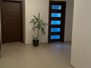 Prodej rodinného domu, Vojkov, 194 m2