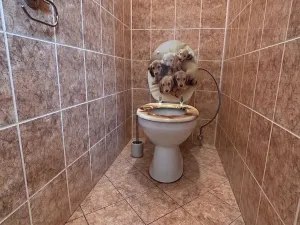 Pronájem bytu 3+kk, Děčín, Kamenická, 70 m2