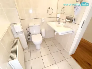 Pronájem bytu 4+1, Plzeň, Zbrojnická, 110 m2