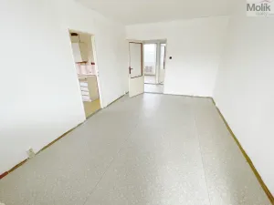 Prodej bytu 3+1, Bílina - Pražské Předměstí, Aléská, 64 m2