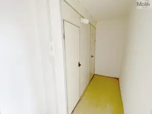 Prodej bytu 3+1, Bílina - Pražské Předměstí, Aléská, 64 m2