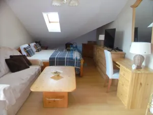 Pronájem bytu 1+kk, Železná Ruda, Belvederská, 50 m2