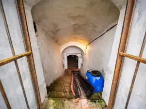 Prodej restaurace, Netolice, 176 m2