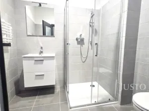 Pronájem bytu 1+kk, Písek, Vladislavova, 40 m2