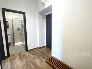 Pronájem bytu 1+1, Písek, Vladislavova, 40 m2