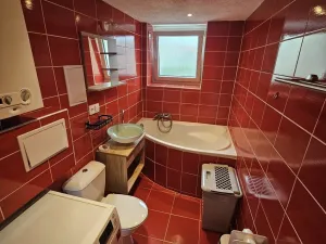 Pronájem bytu 2+1, Plzeň - Jižní Předměstí, 17. listopadu, 50 m2