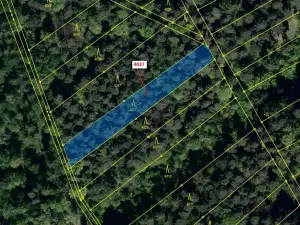 Dražba lesa, Pitín, 1282 m2