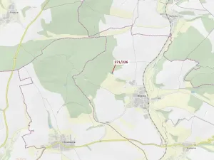 Dražba lesa, Milavče, 1643 m2