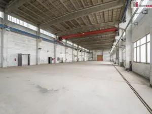 Prodej výrobních prostor, Veselí nad Lužnicí, Svinenská, 2752 m2