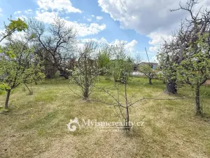 Prodej zahrady, Šatov, 875 m2